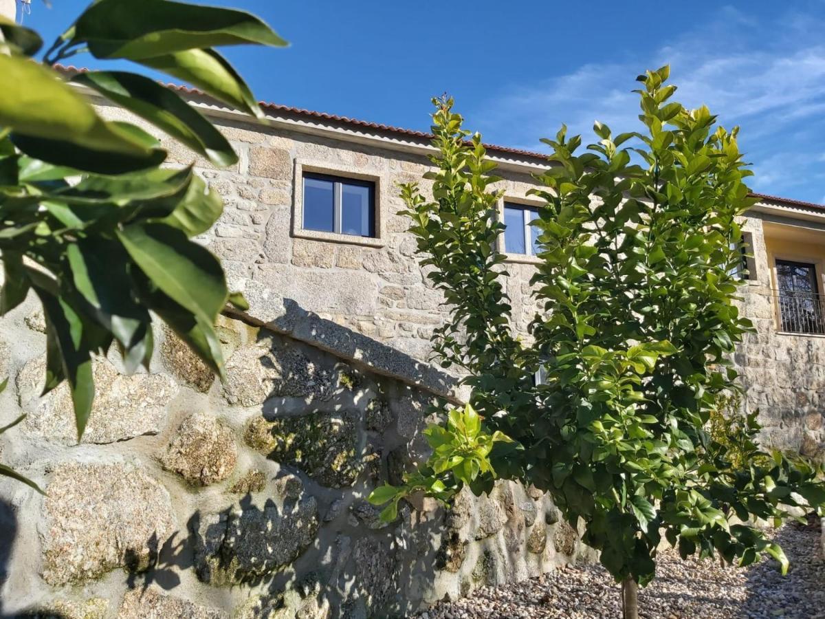 Quinta Das Regueiras Vişeu Exterior foto